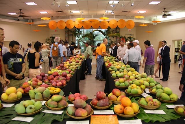 The Lip-Smacking International Mango festival