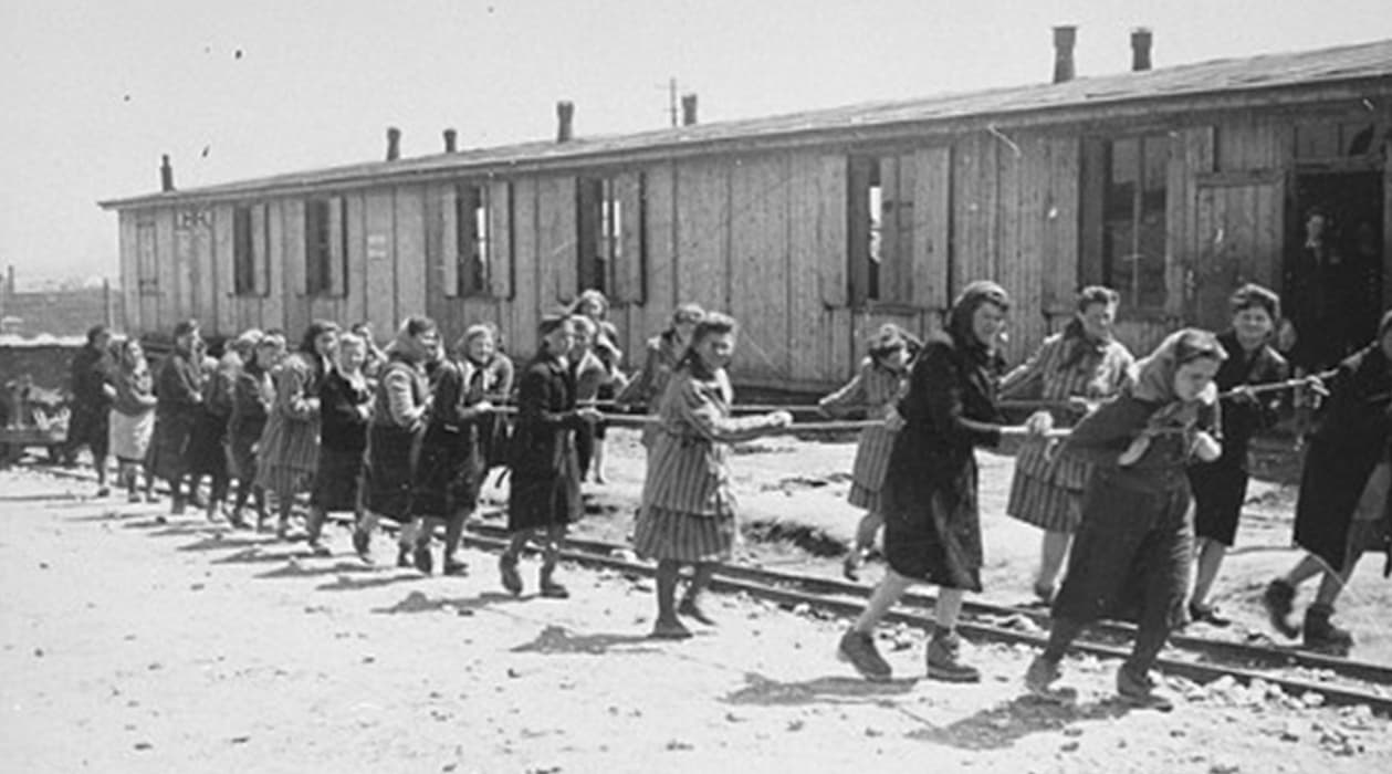 Holocaust: the scars of humanity