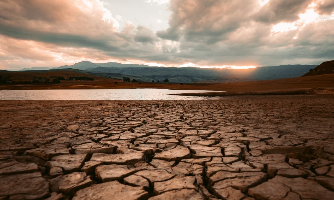 Cauvery Calling : for the river