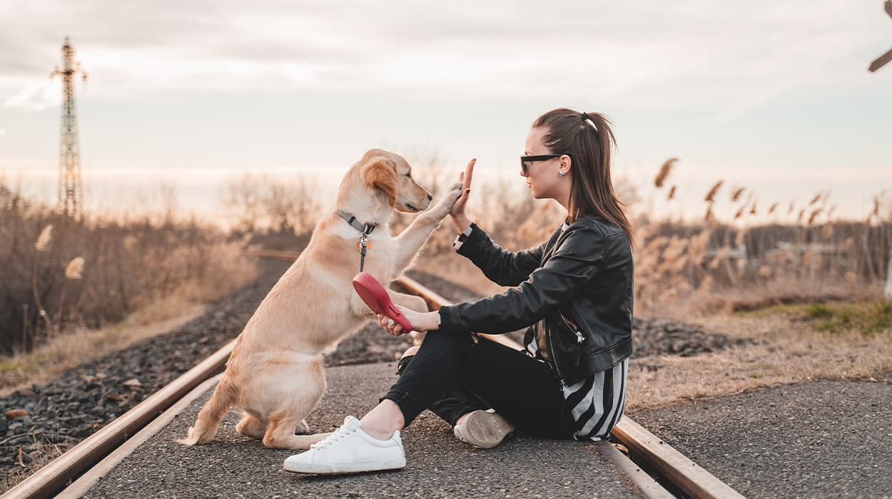 Four Paws and a Heart